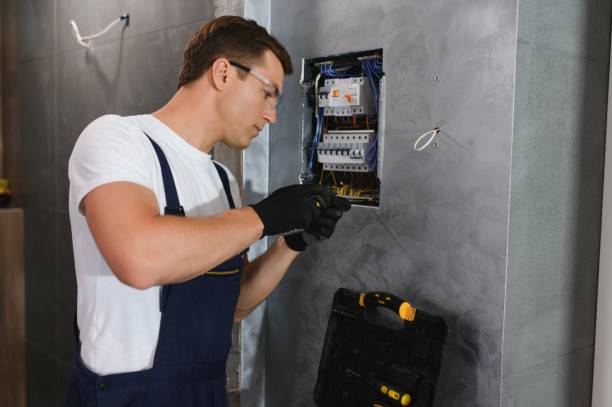 Best Generator Installation Services  in Greenfield, MN